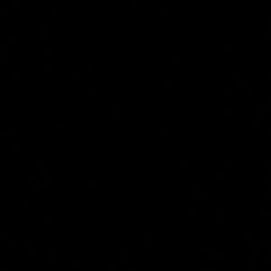 Meet your Posher, Lilly